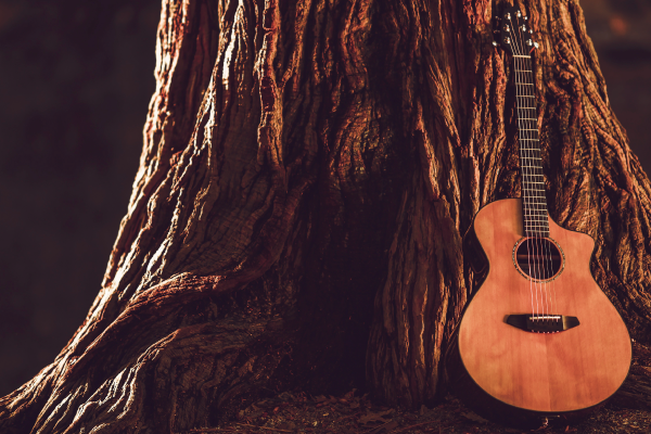 Fabrica-guitarras-colombia Fabrica de guitarras en Colombia