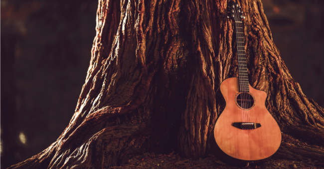 Fabrica de guitarras en Colombia