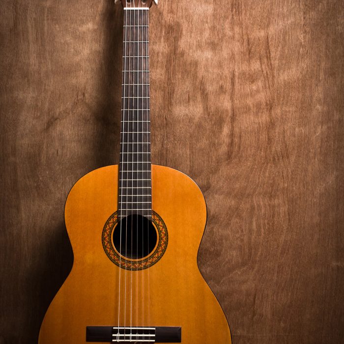 Fabricantes-instrumentos-santander (1)